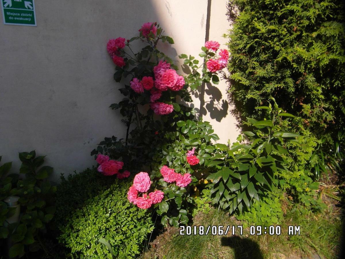 Iwona Hostel - Budget Rooms With Private Bathrooms 소포트 외부 사진